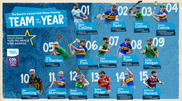 Team of the year Electric Ireland GAA minor hurling