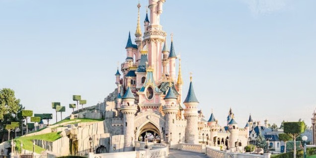 The Disneyland Castle