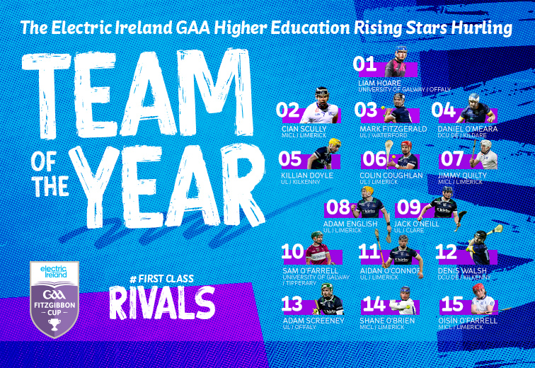 A blue graphic announcing the Electric Ireland Higher Education Rising Stars Hurling Team of the Year, showing fifteen players with headshots, names, colleges, and counties.