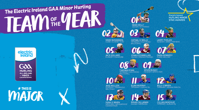 GAA minor hurling Team of the year