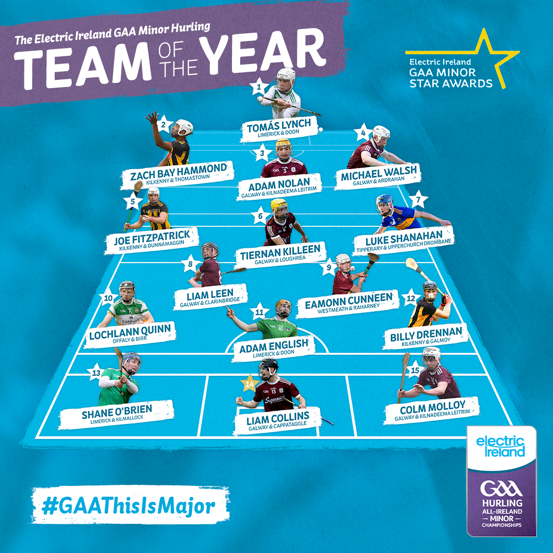 Announcing the 2020 Electric Ireland GAA Minor Hurling Team of the Year