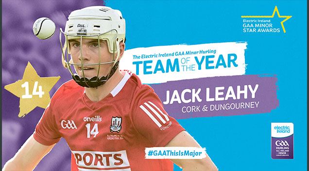 Announcing the 2021 Electric Ireland GAA Minor Hurling Team of the Year & the Minor Recognition Award Winners