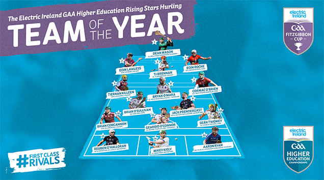 2023 Electric Ireland GAA Higher Education Championship Hurling Team of the Year