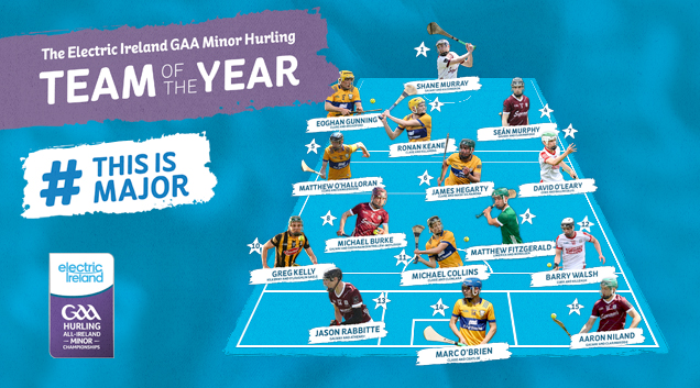 2023 Electric Ireland GAA Minor Hurling Team of the Year