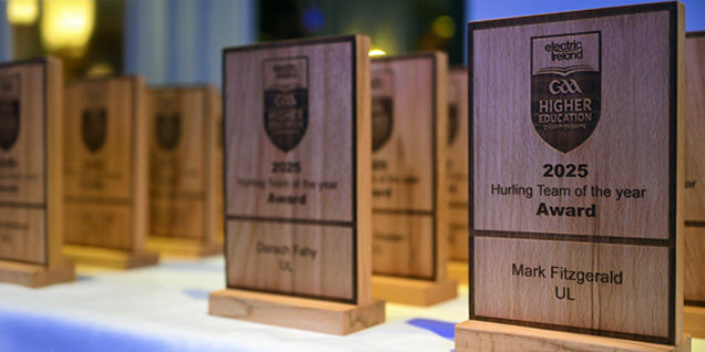 Hurling team of the year awards