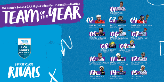 Hurling team of the year players list