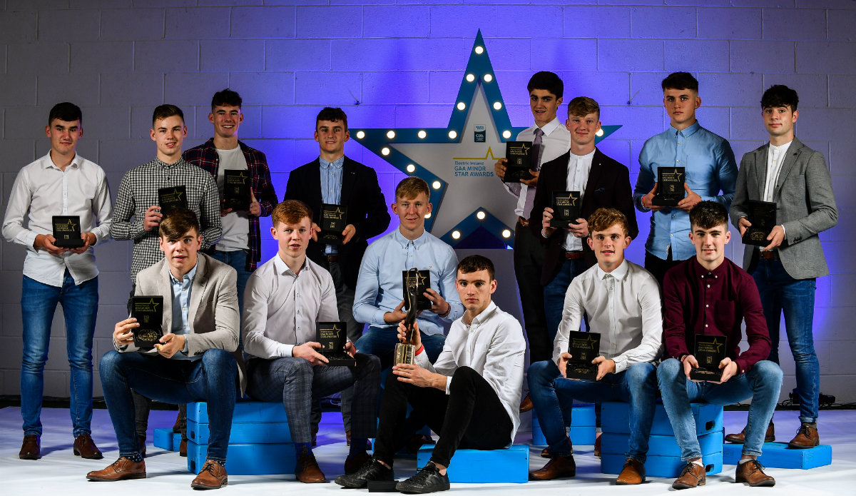 Electric Ireland 2017 Minor Star Hurling Team of the Year