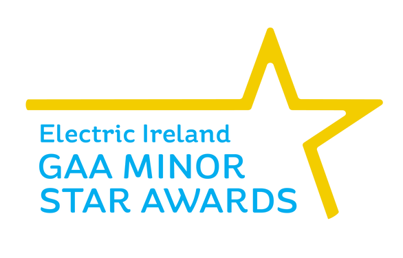 Electric Ireland 2017 Minor Star Hurling Team of the Year