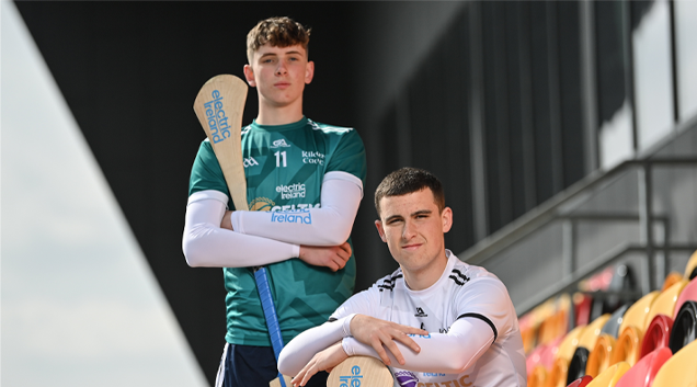 two hurling players in the stands