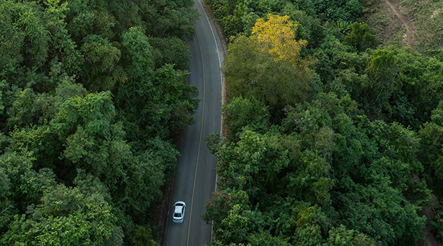 Drone shot of electric vehicle driving through forest