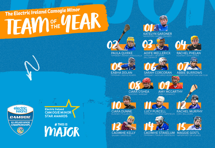 Camogie minor team of the year players