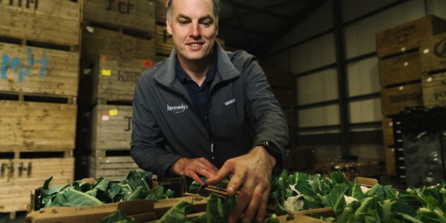 KK owner sorting vegetables